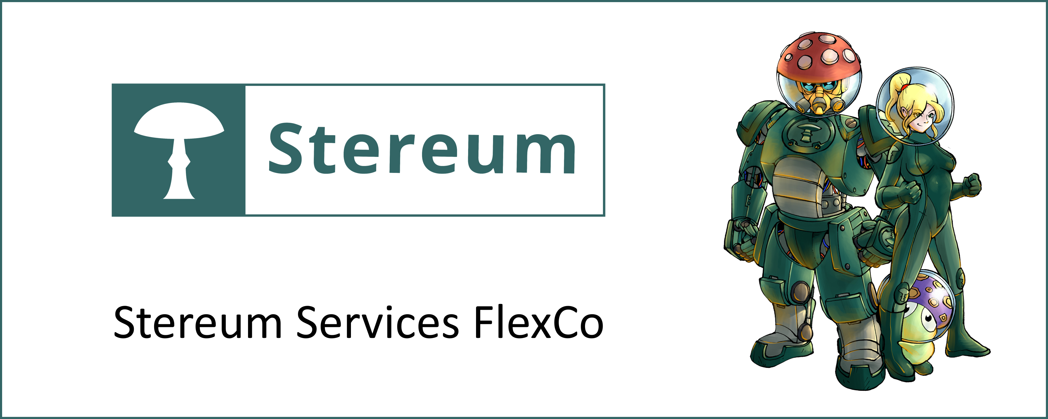 NEW Company Stereum Services FlexCo